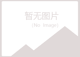 鹤岗兴山无果计算机有限公司